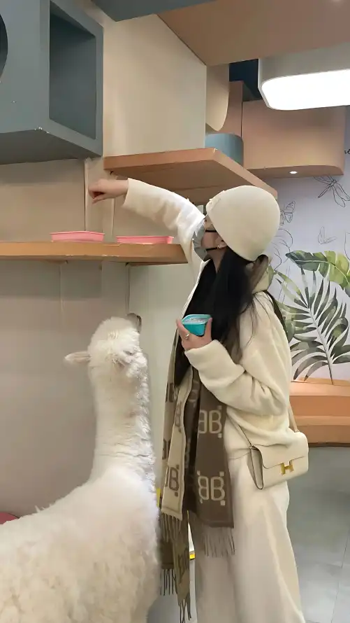 日韩精品免费无码